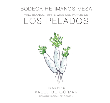 Etiqueta vino Los Pelados Bodega Hermanos Mesa
